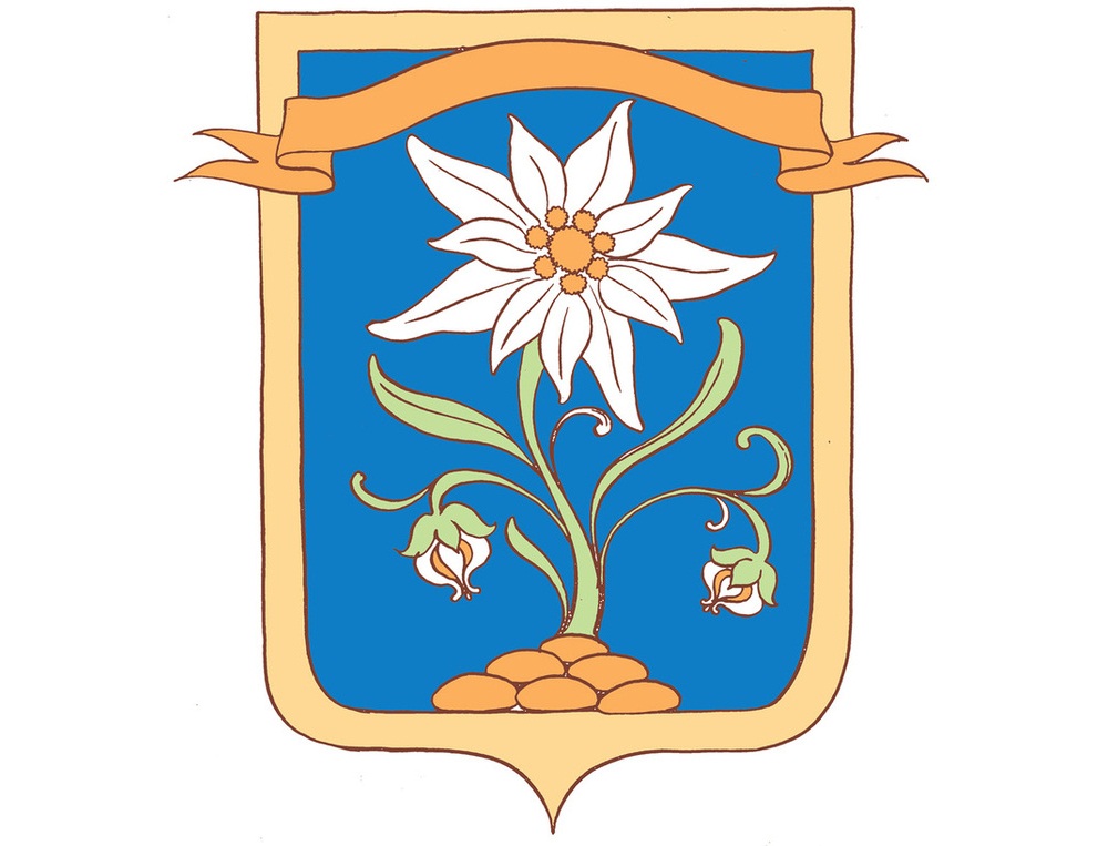 Герб района, рамка французский щит заказать